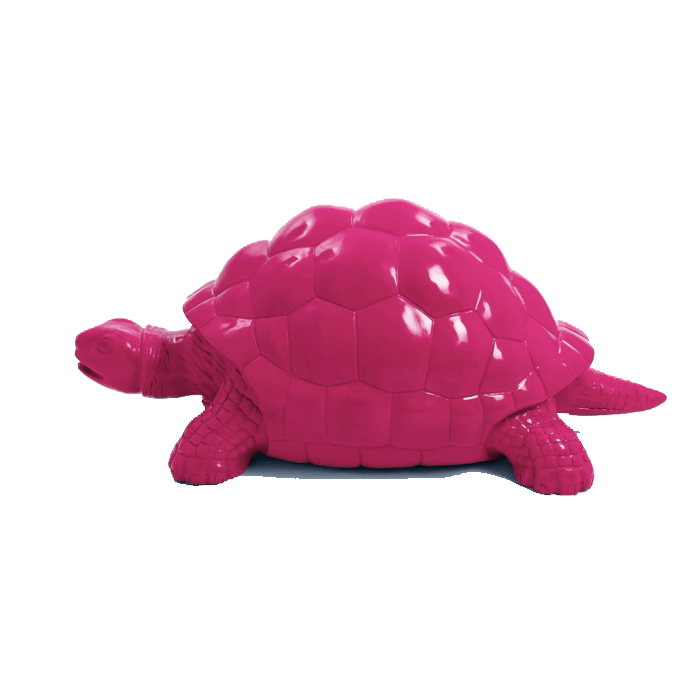 Tortue en resine 21 | The Luxury Box